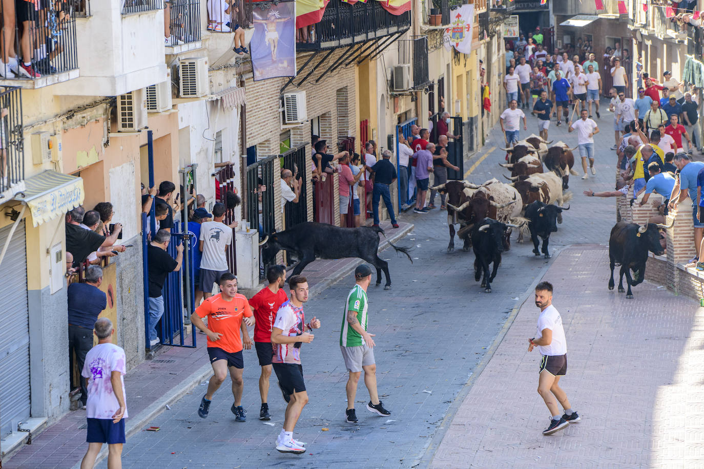 Fiestas de las Vaquillas en Moratalla, encierros por vereda y sueltas de vaquillas
