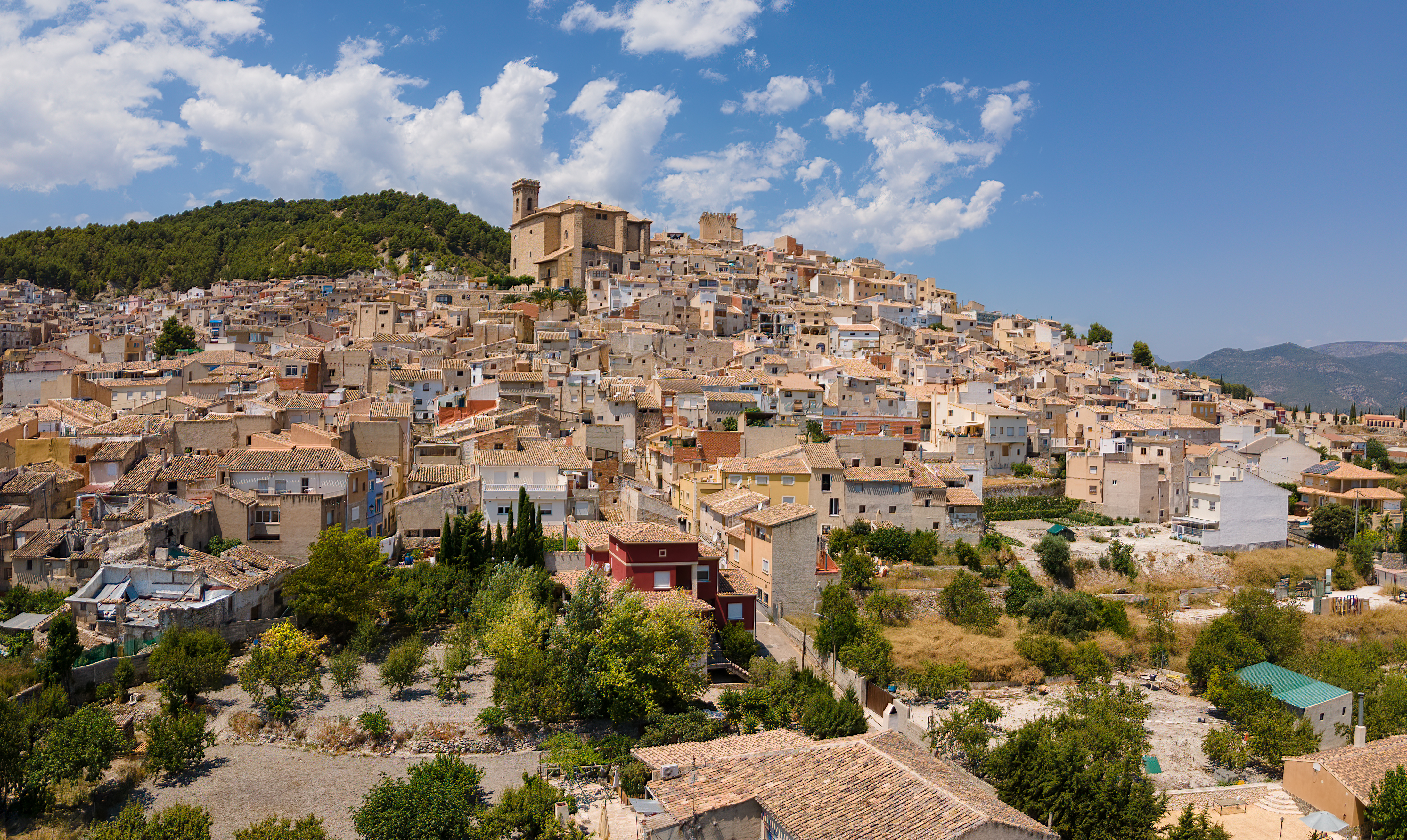 Vista panorámica de Moratalla con el castillo al fondo